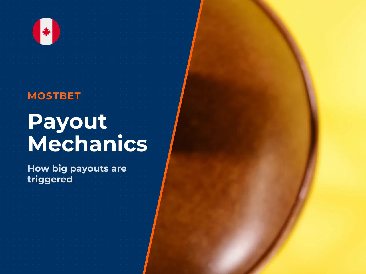 Which Features Drive the Biggest Payout