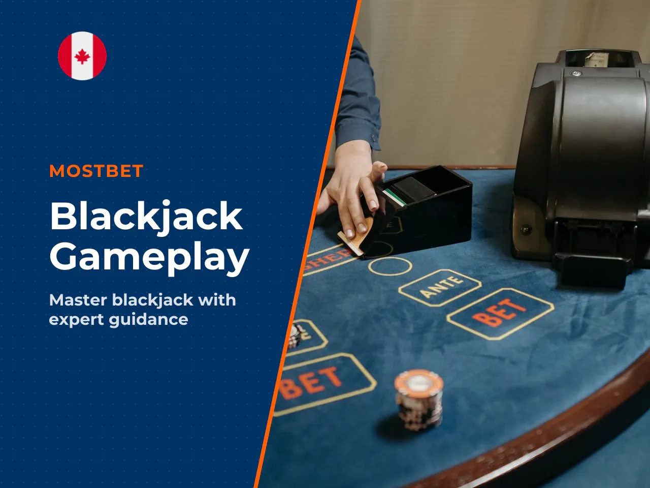 Game Variety, Live Tables and Practice