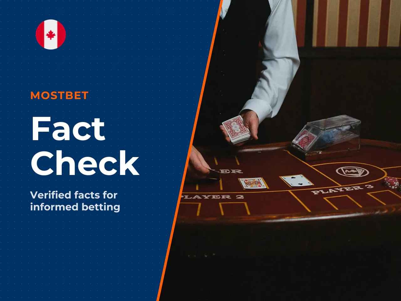 Fact Check and Final Verification. Marketing